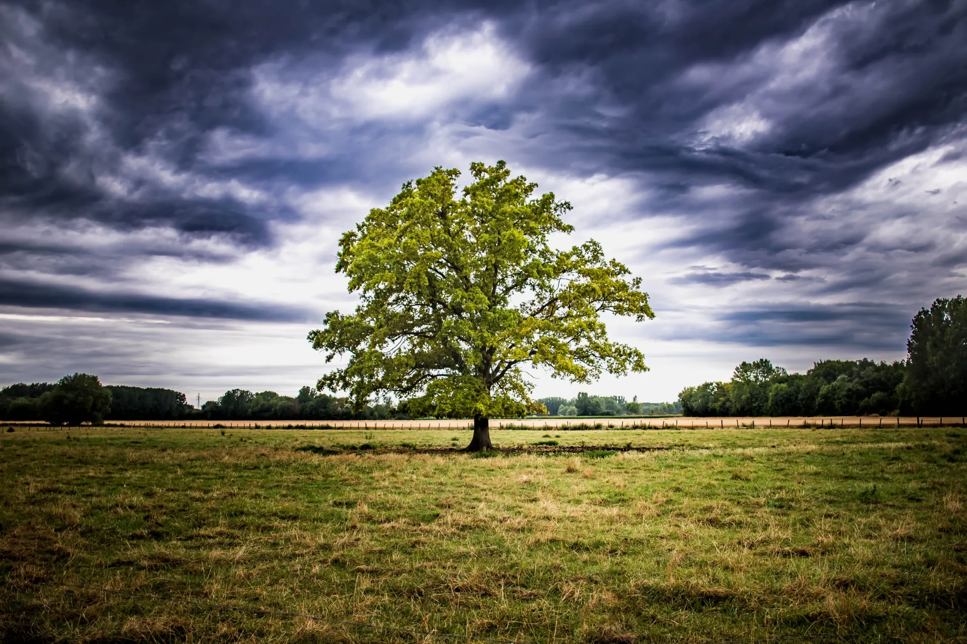 Photographe de paysage
